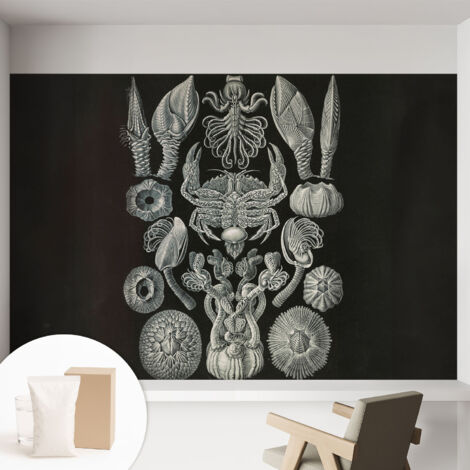 Carta Da Parati Non Tessuto - Di Alta Qualità Per Il Soggiorno La Cucina - Tendenze Moderne - Vlies Ecologico Forme sottomarine 152x104 cm (1/5)