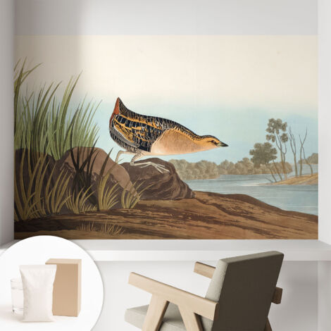 Carta Da Parati Non Tessuto - Con Colla Gratuita - Con Motivi Moderni - Design Elegante Per Pareti Scena naturale 104x70 cm (1/5)