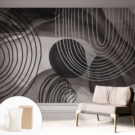 Carta Da Parati Con Design Moderno - Per Rinnovamento Rapido - Non-Woven - Per Interni Moderni Armonia delle forme 312x219 cm (1/5)