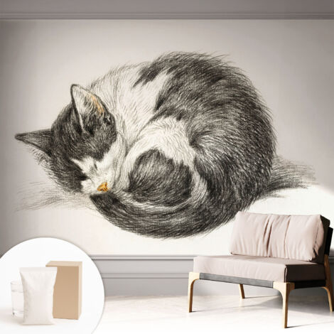 Carta Da Parati Non Tessuto - Decorazione Da Muro - Traspirante - Con Motivo - Per Camera Da Letto Cucina Adorabile gattino 312x219 cm (1/5)