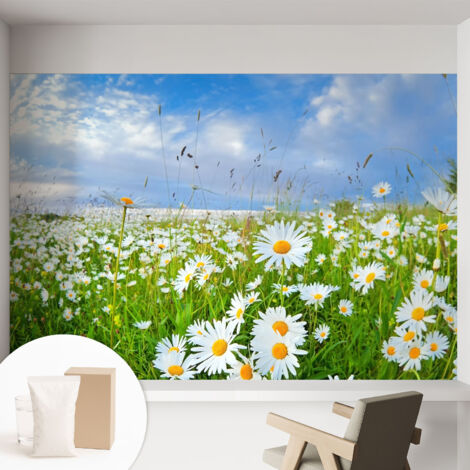Carta Da Parati Non Tessuto - Di Alta Qualità Per Il Soggiorno La Cucina - Tendenze Moderne - Vlies Ecologico prato estivo 152x104 cm (1/5)