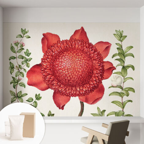 Carta Da Parati - Murale Alla Moda Decorazione - Camera Da Letto - Con Colla Gratuita Eleganza floreale 152x104 cm (1/5)