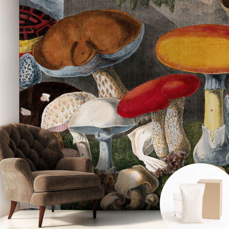 Carta Da Parati - Mural - Con Sala Da Pranzo - Camera Da Letto - Cameretta - Con Colla Gratuita Funghi botanici 250x250 cm (1/5)