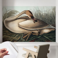 Carta da parati adesiva - lavabile - decorazione murale - per cucina - pellicola decorativa Uccello naturale 104x70 cm
