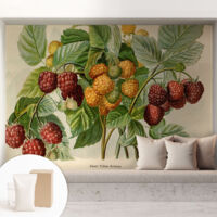 Carta Da Parati Non Tessuto - Con Colla Gratuita - Con Motivi Moderni - Design Elegante Per Pareti Lamponi classici 208x146 cm