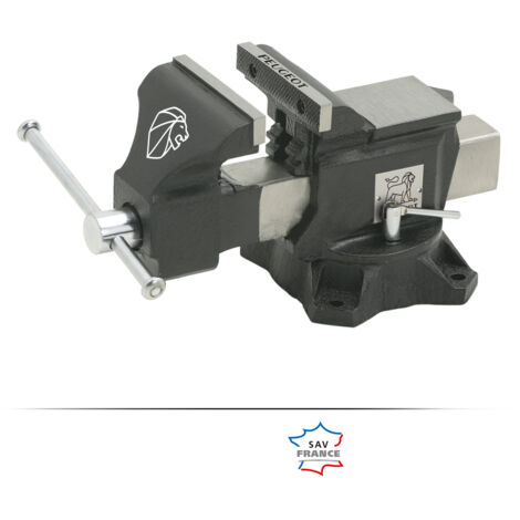 Peugeot – Etau d'établi pivotant 200 mm – Mors en acier démontables – Ouverture 200 mm – Base pivotante 360° pour positionnement précis