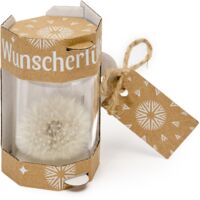Garronda Wunscherfüller - Elegante Pusteblume im Glas 24 Stück, Charmante Kleine Geschenke für Frauen, Kreative Geschenkideen für Geburtstag GD-0077
