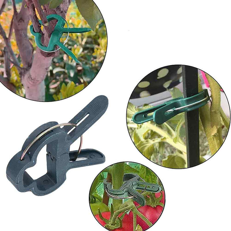 2 fascette morbide da giardino, supporto per piante da