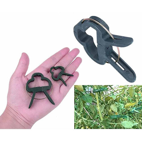 TF - Fascette per piante regolabili, in plastica, per piante, con supporto per piante e alberi