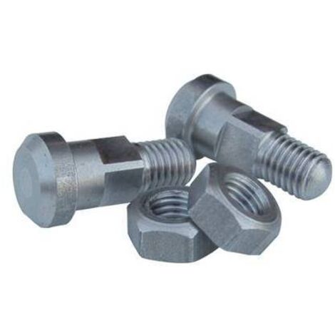 Bulloni kit n. 2 per forbici doppio buoi 21 cm con dado – Ricambio