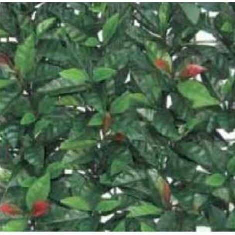 Siepe artificiale PHOTINIA 100x100cm EFFETTO REALISTICO