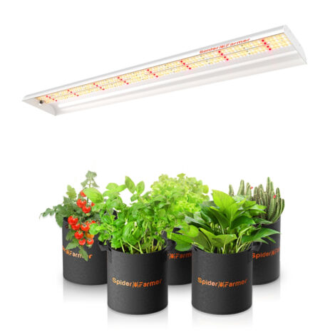 Spider Farmer SF600 74W LED Pflanzenlampe für Setzlinge, Gemüse, Pflanzen Blumen
