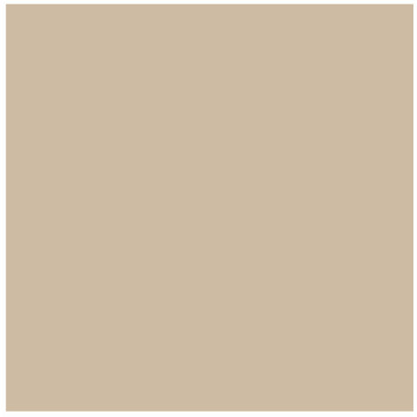 Peinture Acrylique Satin 2.5 Litres Castor - Addict