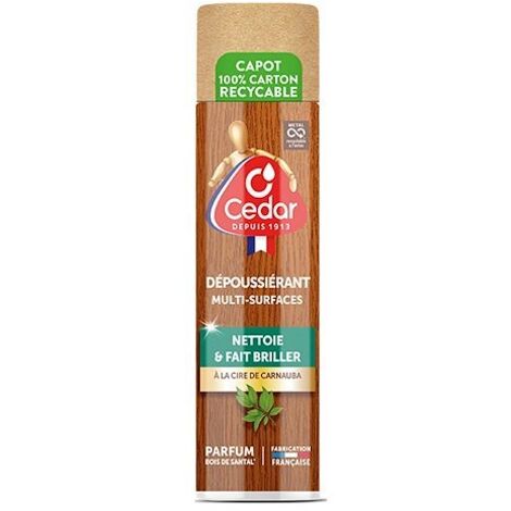 Dépoussiérant multi-surfaces 300ml – Cire de carnauba pour bois – Aérosol spray pour meubles – Fabrication française - SURF 300 ML