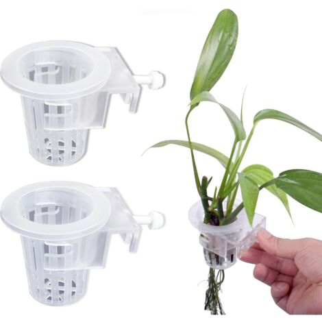 Aquarienpflanzenstütze – Mini-Hängestütze mit Haken für Aquaponik-Pflanzen, Aquariendekoration, 2 Stück, transparent (1/5)