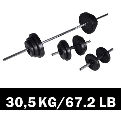 Kit de barre d'haltère et 2 haltères 30,5 kg vidaXL