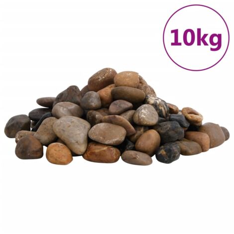 Galets polis 10 kg multicolores 2-5 cm vidaXL129685