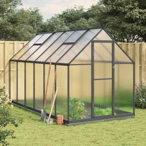 vidaXL Serre avec cadre de base anthracite 334x169x202 cm aluminium