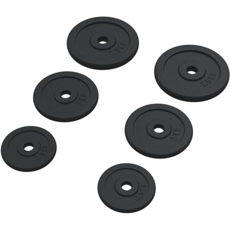 Plaques de poids 6 pcs 30 kg Fonte vidaXL