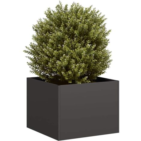 Vidaxl – Jardinière en acier laminé à froid 40x40x30 cm – Fond ouvert pour drainage efficace – Idéal pour plantes, légumes et herbes