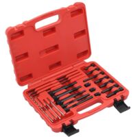 Vidaxl – Jeu de bougies de préchauffage 22 pcs M8 x 1 mm et M10 x 1 mm – Acier au carbone – Mallette de rangement incluse