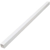Goulotte de câble 100x60 mm 10 m PVC vidaXL