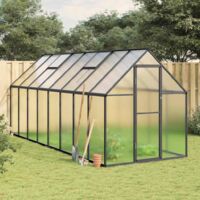 Serre avec cadre de base anthracite 445x169x195 cm aluminium vidaXL