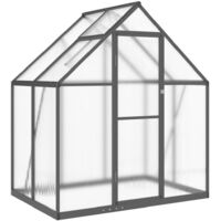 Vidaxl – Serre de jardin polycarbonate 169x114x195 cm – Cadre aluminium anthracite – Panneaux résistants aux UV – Gouttières intégrées