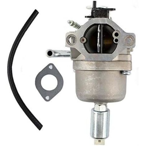 Carburateurs compatibles avec les moteurs Briggs & Stratton 21B707 21B807 (1/4)