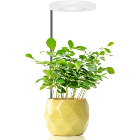 Lampes de culture pour plantes d'intérieur, lampe de culture Halo à spectre complet,3 couleurs (1/5)