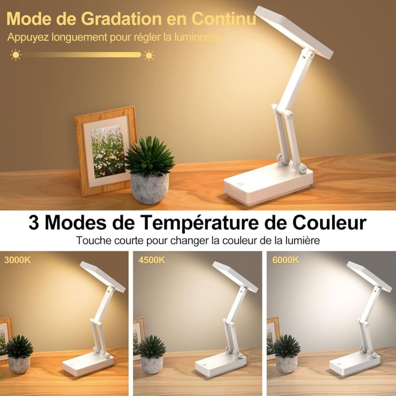 Lampe De Bureau à 2 Têtes – Réglable, 3 Niveaux De Luminosité, Design Pliable, Alimentation USB