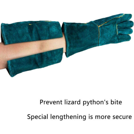 Anti-Morsure Gants de Protection/ de Manutention pour Animal, Sécurité Cuir Gants de Travail pour Le Bain, Le Toilettage, la Manipulation Chien, Chat, Oiseau, Serpent, Lézard, Reptile (1/5)