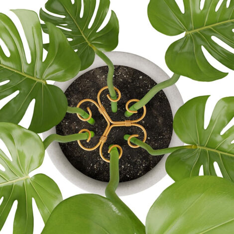 Lot de 4 tuteurs en fer pour plantes Monstera, tuteurs pour plantes d'intérieur au design unique pour favoriser la croissance des plantes (1/5)