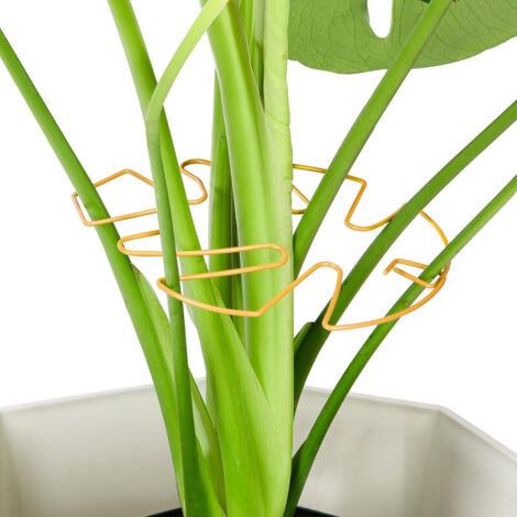 Lot de 10 tuteurs en fer pour plantes Monstera, accessoires pour plantes d'intérieur au design unique,pinces en bambou pour une croissance florissante