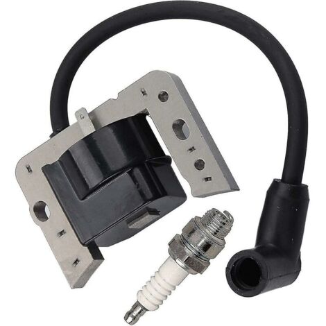 Bobine d'allumage 34443d pour Tecumseh 34443, 34443a 34443b 34443c Module à semi-conducteurs de bobine d'allumage-tecumseh Av520 Lh195 Oh195 Th139 Tv085 Tvm140 Tvxl840 V