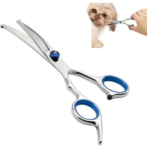 Ciseaux de toilettage professionnels en acier inoxydable pour chiens et chats, avec embouts de sécurité arrondis, ciseaux courbés, parfaits pour le visage, les pattes, le corps et le toilettage des an