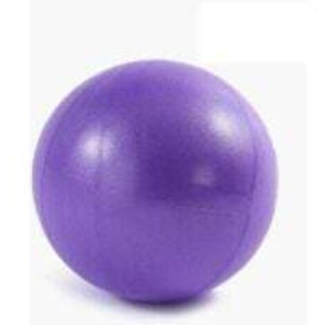 Yoga Pilates petite balle épaissie antidéflagrante fitness mini 25 cm petite balle tube de blé balle d'entraînement sensoriel pour enfants