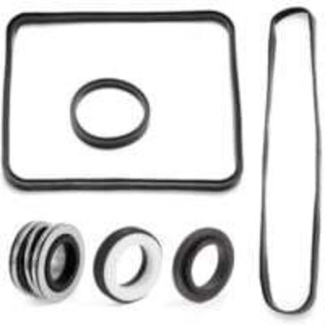 Kit de joints Super Pump pour SP2600 SP1600 SP2600X 1600 1600X Compatible avec les modèles Normal/X/VSP