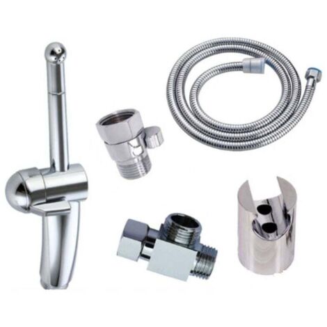 Nettoyant pour toilettes. pommeau de douche pour bidet féminin. chasse d'eau en acier inoxydable. pommeau de douche pour bidet de toilettes