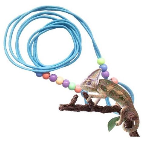 Laisse dragon barbu et harnais imprimé léopard, laisse pour animaux de compagnie, laisse lézard, laisse lumineuse (perles colorées) (1/4)