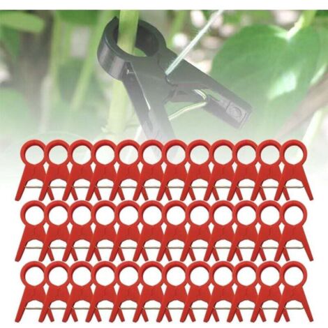 Clips de support pour plantes, clips de support en plastique solide, clips de jardin réutilisables pour plantes grimpantes d'extérieur, clips de support pour plants de tomates (100 pièces, rouge - 2,0 (1/4)