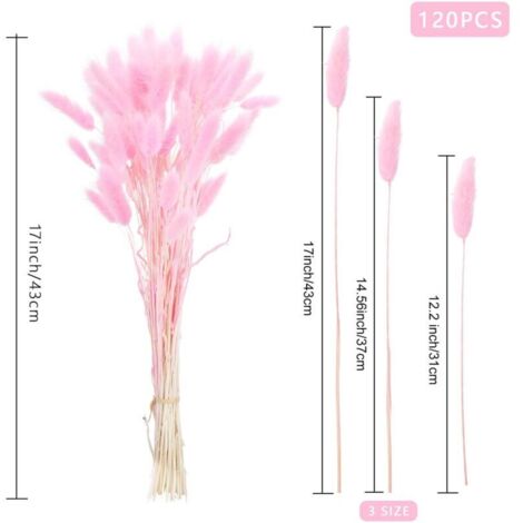 120 Pcs Pampa Séchées Naturelle Décoration, Herbe de la Pampa Fleurs ...