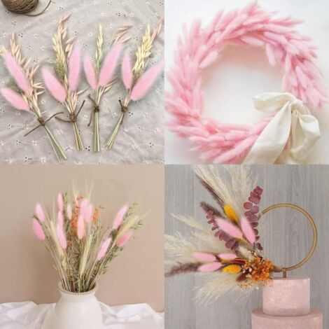 120 Pcs Pampa Séchées Naturelle Décoration, Herbe de la Pampa Fleurs ...