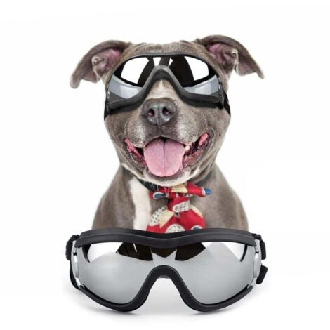Lunettes pour chiens de grande et moyenne taille, protection UV, coupe-vent, élastique réglable, noires