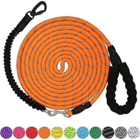 Laisse pour chien 10 m Laisse robuste avec crochet pivotant verrouillable et fils réfléchissants Laisse élastique pour chien Poignée rembourrée confortable pour la marche pour petit, moyen et g