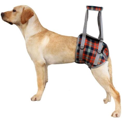 Harnais de Soutien pour Chiens Réglable Harnais pour Chien Handicapé pour Les Jambes Arrière, Maille Harnais Levage avec Poignée pour l'Aide Canine Réadaptation, Chiens Âgés, Blessés (S, Treill (1/4)