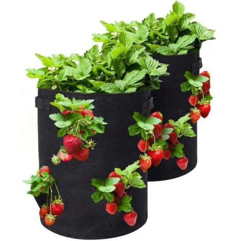 Sac Plantation Fraise, Lot de 2 Sacs de Culture de Fraises de 10 gallons avec 8 Poches de Culture latérales, poignée renforcée en Tissu Non tissé Respirant pour Fraises de Jardin, Herbes, Fleur