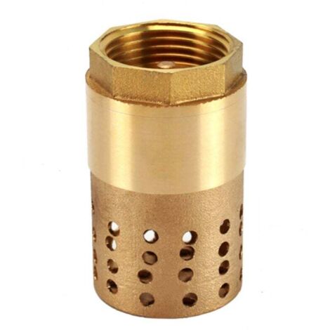Clapet anti-retour pompe 1 pouce - clapet de pied clapet anti retour (1 pouce)
