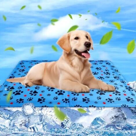 Tapis Rafraichissant Chien & Chat Coussin Rafraichissant pour Chien, Tapis Refrigerant pour Animaux, Étanche et Facile à Nettoyer, Convient aux Petits et Grands Chien de Compagnie, 60×50cm