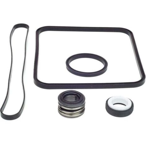 Joint de rechange pour pompe Super Pump pour kit Hayward Go tible avec les modèles SP1600, SP2600 Regular, X, VSP. SPX1600TRA SP1600Z2 PS-201 SPX1600R SPX160 0S SPX1 600T Piscine (1/4)